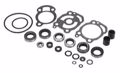 Picture of Mercury-Mercruiser 26-66303A1 SEAL KIT 